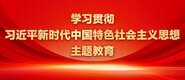 大鸡吧操小骚逼学习贯彻习近平新时代中国特色社会主义思想主题教育_fororder_ad-371X160(2)